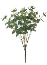 EUCALYPTUS SMALL BUNCH GREEN